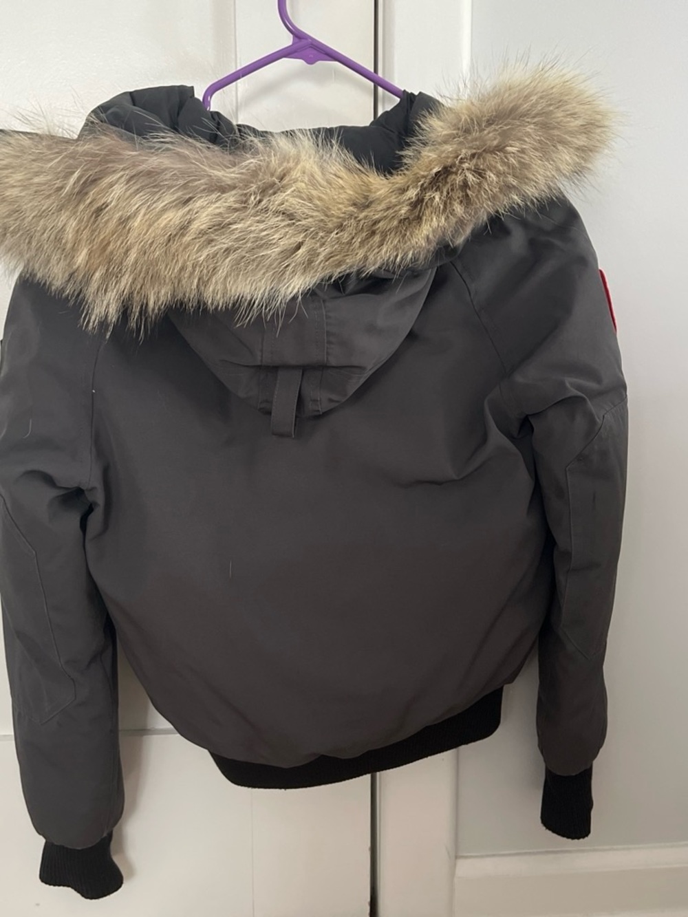 Canada Goose Women’s Fur Trim Hooded Bomber Jacket - Charcoal Gray - Picture 2 of 3